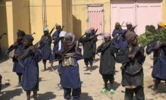 Η Μπόκο Χαράμ εκπαιδεύει νήπια για τζιχαντιστές “παιδιά στρατιώτες”
