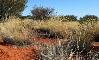 Αυστραλός πέθανε αφού περπάτησε 50χλμ. στην έρημο