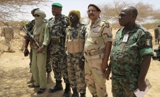 ΟΗΕ: Αεροπορικές επιδρομές εναντίον ανταρτών στο βόρειο Μάλι
