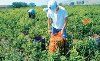 Υπ. Αγροτικής Ανάπτυξης: Ομολογεί προεκλογικές παροχές στους αγρότες