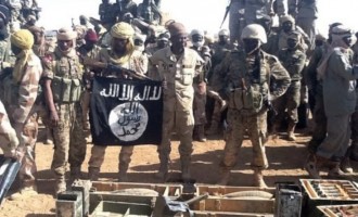 Ο στρατός του Τσαντ σκότωσε 120 τζιχαντιστές της Μπόκο Χαράμ