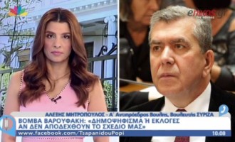 Μητρόπουλος: Αφέλειες τα περί δημοψηφίσματος