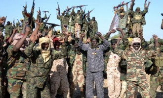 Μεγάλη επίθεση των στρατών του Τσαντ και του Νίγηρα στους τζιχαντιστές