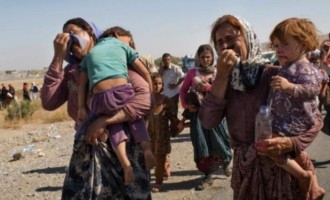 ΟΗΕ: Το Ισλαμικό Κράτος είχε πρόθεση να αφανίσει τους Γιαζίντι