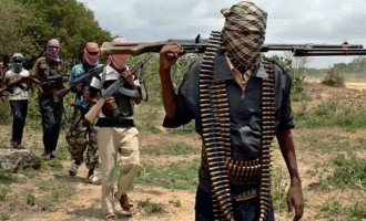 Η Μπόκο Χαράμ (Ισλαμικό Κράτος) επιτέθηκε στο Καμερούν