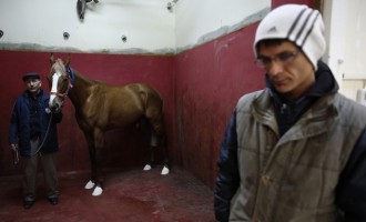Νοσοκομείο για… άλογα στη Κωνσταντινούπολη (φωτογραφίες)