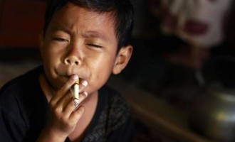 Θεριακλής ετών… επτά στην Ινδονησία