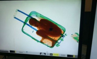 Μετανάστης κρύφτηκε… μέσα σε βαλίτσα