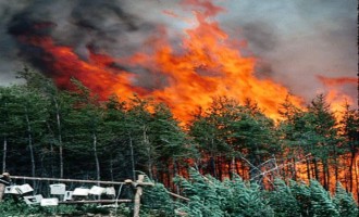 Αυξημένοι οι κίνδυνοι φέτος για πυρκαγιές