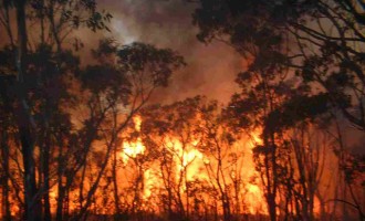 18,4 εκατ. ευρώ προς τους δήμους για αντιμετώπιση δασικών πυρκαγιών