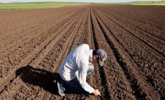 ΟΠΕΚΕΠΕ: Γιατί δεν πληρώθηκαν 112.000 αγρότες