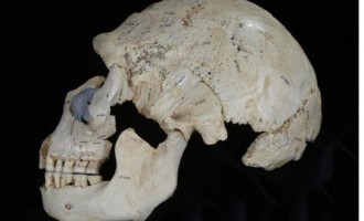 Πριν από 430.000 χρόνια έγινε ο αρχαιότερος φόνος στον κόσμο! (φωτογραφίες)