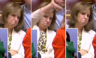 Κορυφαία στιγμή! Η Χριστοφιλοπούλου κάνει σαν… μαϊμού στη Βουλή (βίντεο)