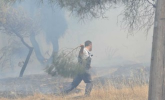 «Γλύφει» κατοικημένη περιοχή στην Ηλιούπολη η πυρκαγιά
