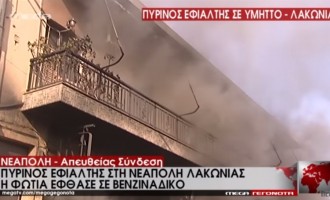 Λακωνία: Σπίτια και καταστήματα στη Νεάπολη παραδόθηκαν στις φλόγες (βίντεο)