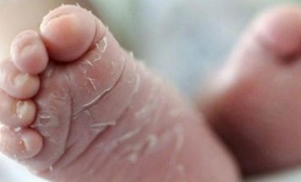 Αρουραίοι έφαγαν δάχτυλα και μάτι μωρού μέσα σε νοσοκομείο!