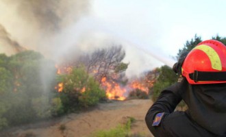 Φωτιά σε δασική περιοχή στο Κερατσίνι