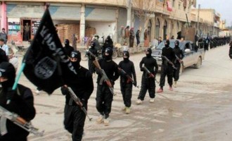 OHE: Αποτροπιασμός για τις «βαρβαρότητες» από το Ισλαμικό Κράτος στην Παλμύρα