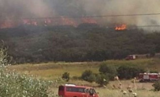 Εικόνες ολοκληρωτικής καταστροφής στη Βοιωτία – Εκτός ελέγχου η φωτιά απειλεί σπίτια