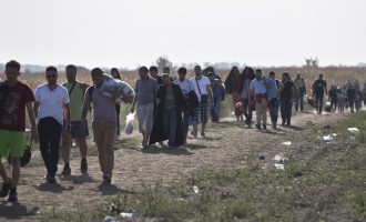 17.000 μετανάστες και πρόσφυγες μπήκαν στην Κροατία