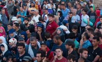 Αύξηση 145% στις συλλήψεις παράνομων μεταναστών στον Έβρο