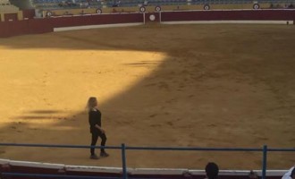 Πορνοστάρ έβαλε μπροστά τα… στήθη της για να σώσει τον ταύρο  (βίντεο)