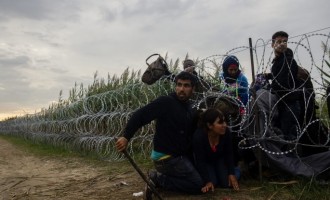Bloomberg: Οι Ευρωπαίοι τα έκαναν μαντάρα με τους πρόσφυγες
