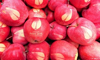 Τα γαλλικά μήλα με φυσικό τατουάζ που πωλούνται 500 ευρώ το ένα