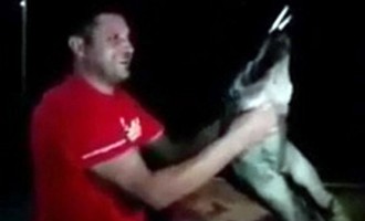 «Ζώα» στα Σκόπια βασάνισαν φριχτά λύκο (φωτο + βίντεο)