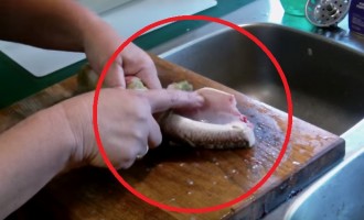 Ψάρια “ζόμπι” χωρίς κεφάλια “ζωντανεύουν” στις κουζίνες (βίντεο)