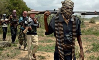 Αγνοούνται 111 μαθήτριες μετά από επίθεση της Μπόκο Χαράμ σε σχολείο της Νιγηρίας