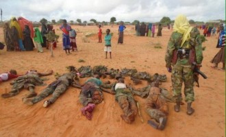 Τζιχαντιστές της Αλ Σεμπάμπ σκότωσαν έξι Σομαλούς στρατιώτες (φωτο)