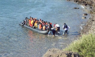 Λέσβος: ΜΚΟ έβαζε παράνομα μετανάστες στην Ελλάδα!