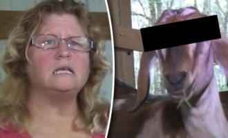 Γυναίκα καταγγέλλει κτηνοβάτη: “Σε παρακαλώ, σταμάτα να βιάζεις τις κατσίκες μου!”