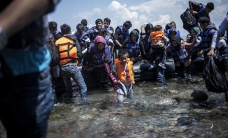 ΜΚΟ και “εθελοντές” συνεργάζονται με εγκληματικά δίκτυα διακίνησης μεταναστών