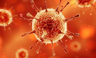 Bραζιλία: Εντοπίστηκε ο ιός Ζίκα σε σάλιο και ούρα