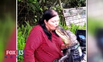 Αυτός ο αλιγάτορας νομίζει ότι είναι μωρό και δίνει φιλιά στο στόμα (βίντεο)
