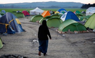 ΟΑΕΔ: Προσλήψεις 5.000 ανέργων σε κέντρα φιλοξενίας προσφύγων