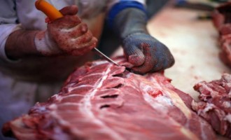 Διατροφικό σκάνδαλο σε 57 χώρες: Φορμόλη σε κοτόπουλα και κρέας πιθήκου