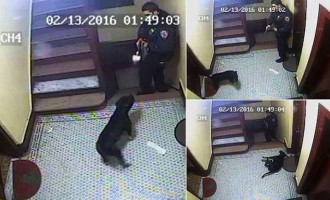 Αστυνομικός σκότωσε σκύλο γιατί του… γάβγισε (σκληρό βίντεο)