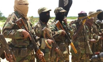 Ο στρατός της Σομαλίας σκότωσε 65 τζιχαντιστές της Αλ Σεμπάμπ