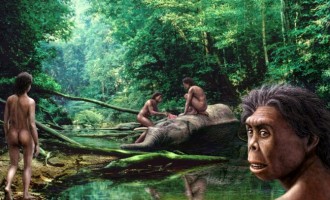 Οι άνθρωποι εξαφάνισαν τα Χόμπιτ πριν 50.000 χρόνια;