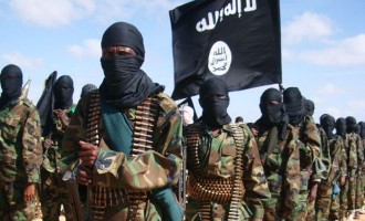 «Δεν ηττάται μόνο με αεροπορικές επιδρομές η Αλ Σεμπάμπ στη Σομαλία»