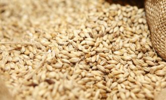 Η Αίγυπτος θα περιορίσει τις εισαγωγές σιταριού καθώς οι τιμές αυξάνονται
