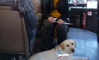 ΟΑΣΑ: «Οι σκύλοι συνοδοί τυφλών επιτρέπονται σε όλα τα Μέσα Μεταφοράς»