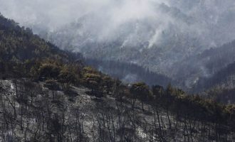 Η βροχή έσωσε τα Δερβενοχώρια – Έσβησε η πυρκαγιά