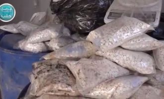 Χιλιάδες χάπια για τζιχαντιστές στο Ισλαμικό Κράτος έπιασε το ΣΔΟΕ