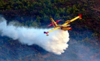 Η Κύπρος στις φλόγες – Πυροσβεστικά από την Ελλάδα συνδράμουν στις προσπάθειες κατάσβεσης