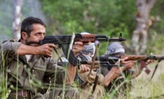 Γερμανικές Υπηρεσίες Πληροφοριών (BfV): Το PKK πολεμά το Ισλαμικό Κράτος