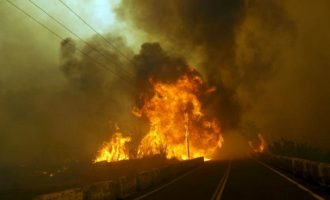 Ρόδος: Η «ηλίθια» αιτία που κάηκαν 20.000 στρέμματα